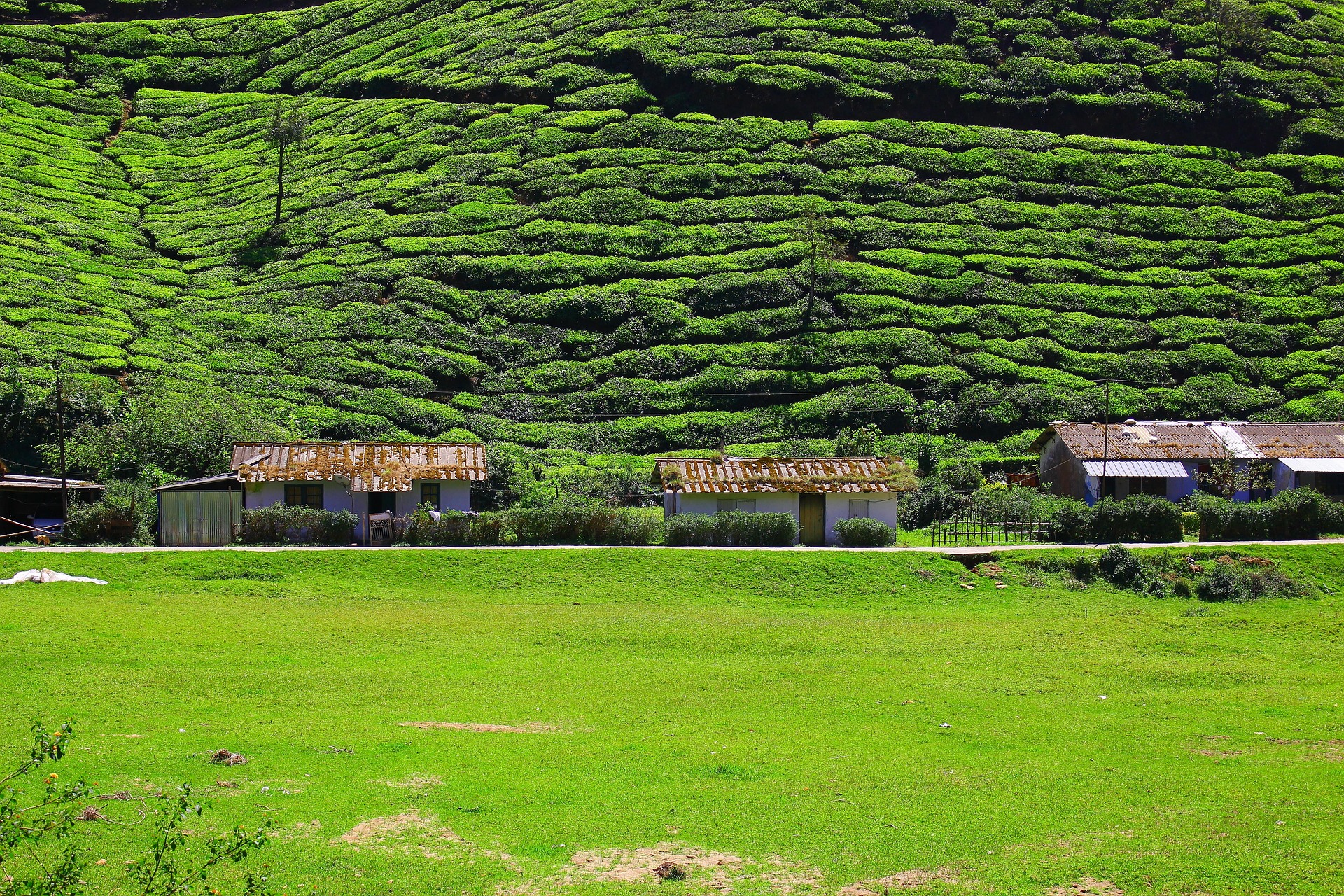 South India